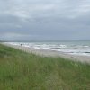 Tour 14: Darß - 3